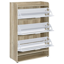 Load image into Gallery viewer, Denia Shoe Cabinet
