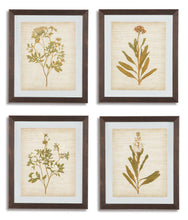 Load image into Gallery viewer, Dyani Wall Art (Set of 4) image