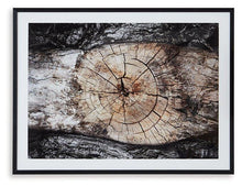 Load image into Gallery viewer, Freyburn Wall Art