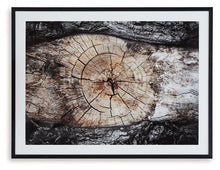 Load image into Gallery viewer, Freyburn Wall Art