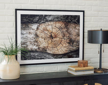 Load image into Gallery viewer, Freyburn Wall Art