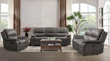 Load image into Gallery viewer, HENRICUS Loveseat, Dark Gray