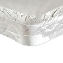 Load image into Gallery viewer, Bird Of Paradise 7" Foundation