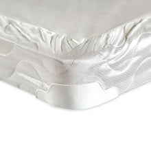 Load image into Gallery viewer, Bird Of Paradise 4" Full-Size Foundation