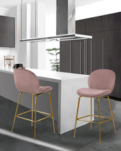 Load image into Gallery viewer, Paris Pink Velvet Stool