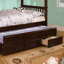 Load image into Gallery viewer, University I Dark Walnut Twin/Full Bunk Bed + Trundle