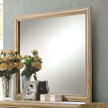 Load image into Gallery viewer, Renee Mirror